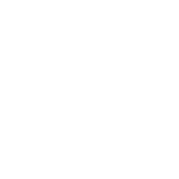 Language